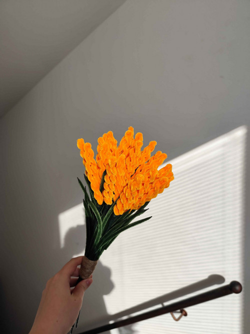 Oranžová levandule — foto 2