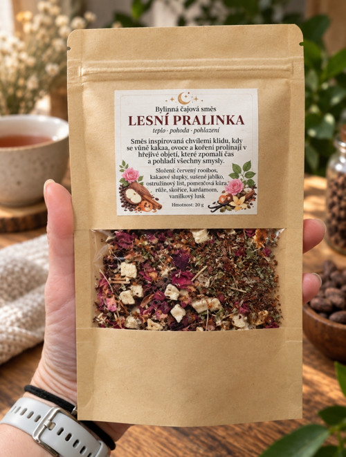 Lesní pralinka — foto 2