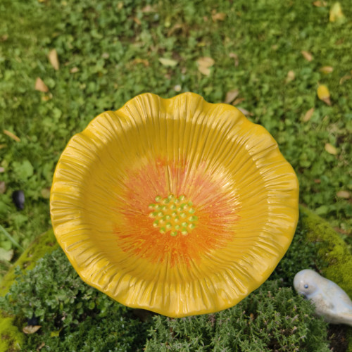 Květ Třapatky — foto 6
