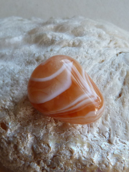 Karneol - 2,7 cm - Extra — foto 5
