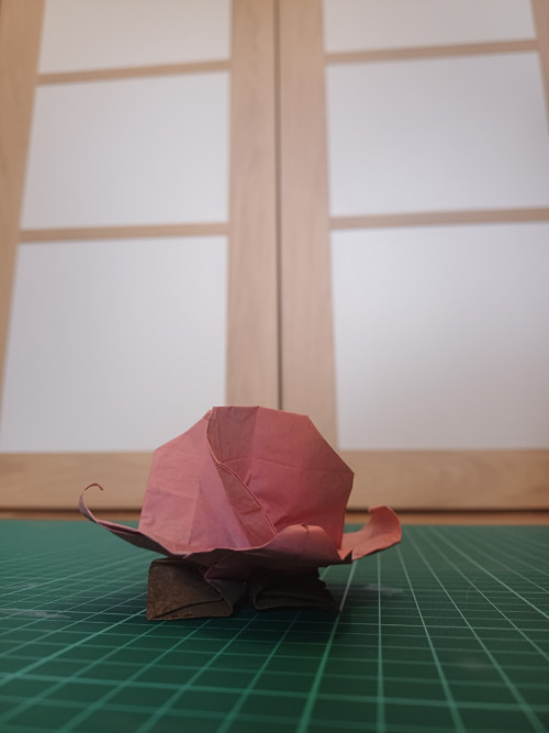 Origami květ — foto 4