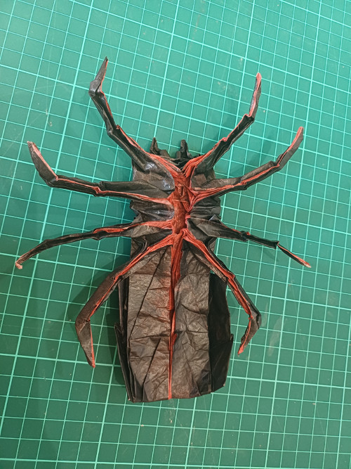 Origami pavouk — foto 5