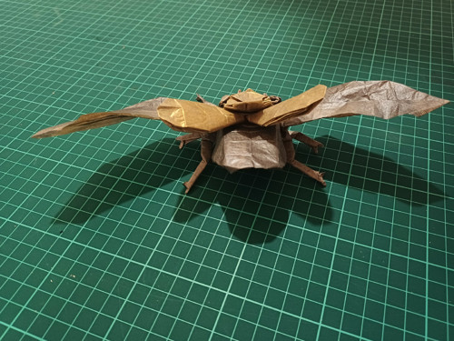Origami zlatohlávek — foto 4