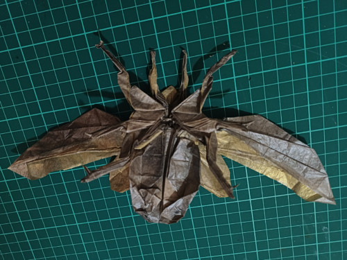 Origami zlatohlávek — foto 3