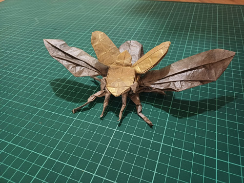 Origami zlatohlávek — foto 2