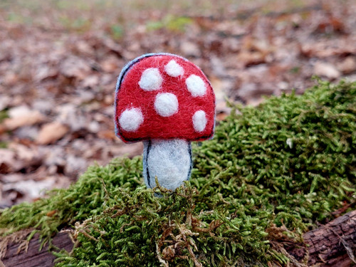 Muchomůrka... — foto 2