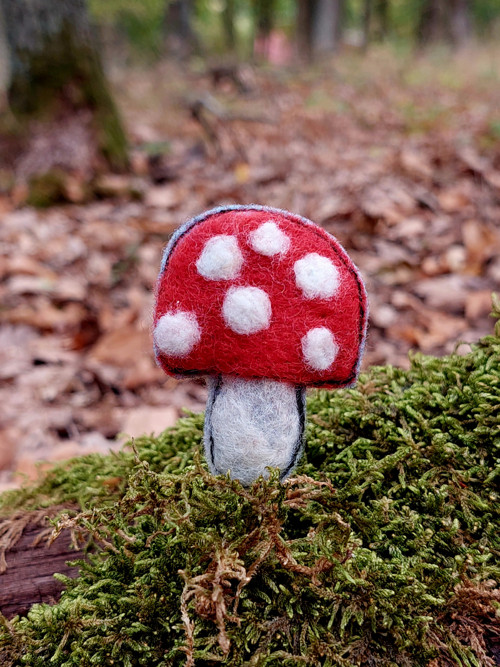 Muchomůrka... — foto 3