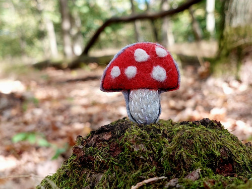 Muchomůrka... — foto 6