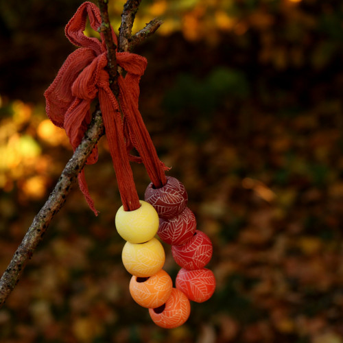 Podzimní - střední II. — foto 2