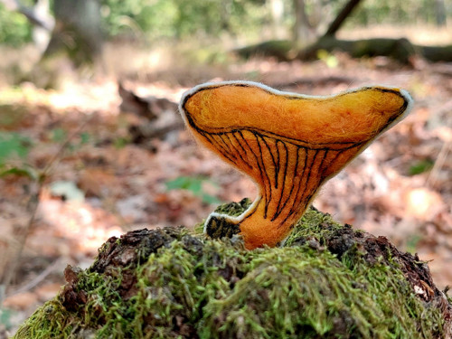 Rostou! — foto 4