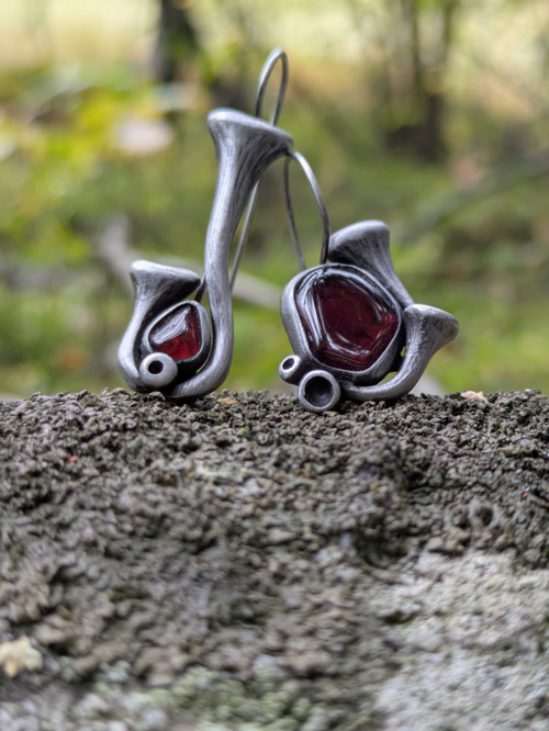 Cladonia fimbriata... — foto 3