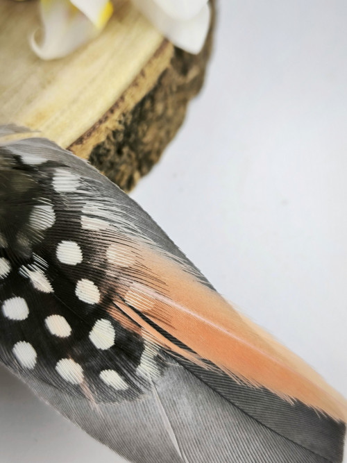 Náušnice z peří SIVENIA — foto 2