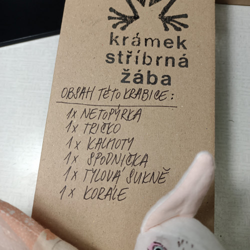 Netopýrka co je skoro víla — foto 3