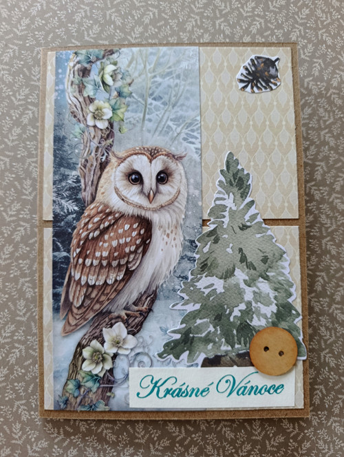 Soví Vánoce - přání — foto 6