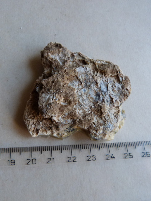 Opál surový dendritický - Smrček ČR-6,4 cm-Extra! — foto 6