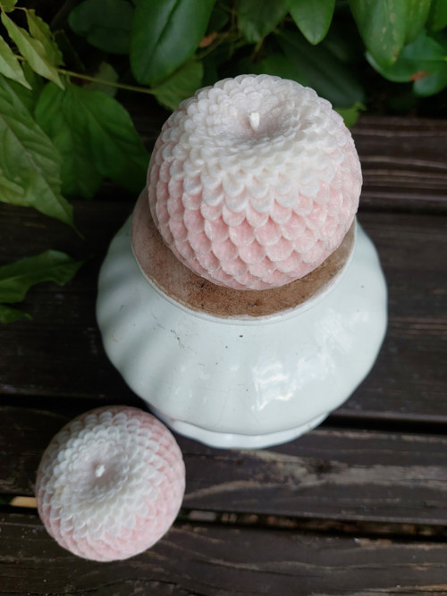 Květ dahlia — foto 2