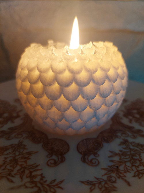 Květ dahlia — foto 4