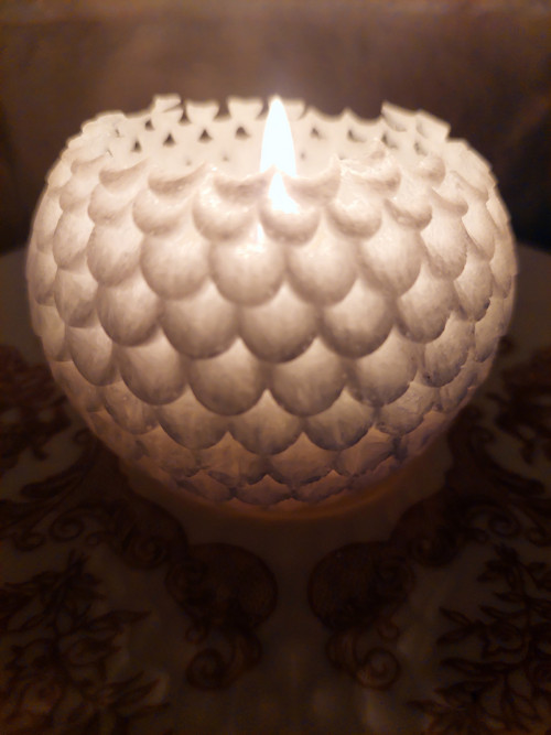 Květ dahlia — foto 5