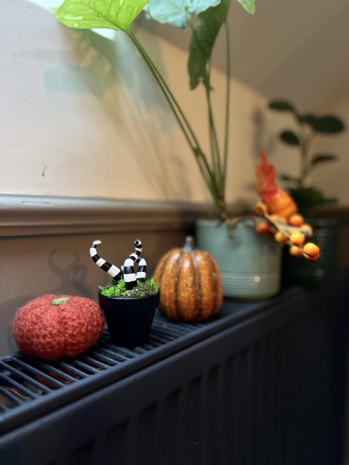 Sendworm květináč — foto 2
