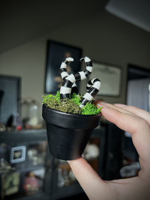 Sendworm květináč — foto 4