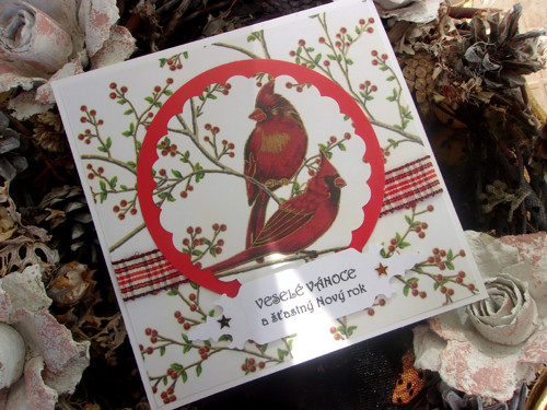Anglosaské Vánoce — foto 3