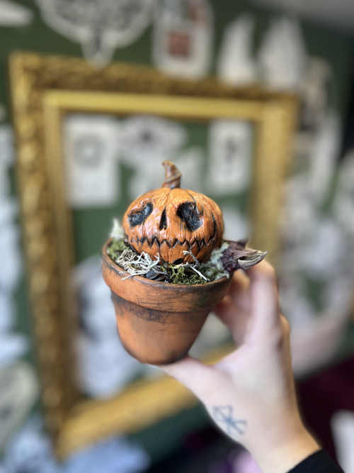 Halloweenská dýně — foto 2