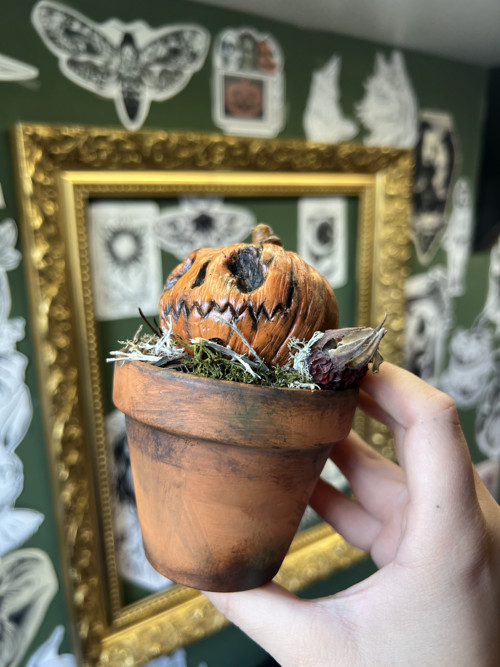 Halloweenská dýně — foto 4