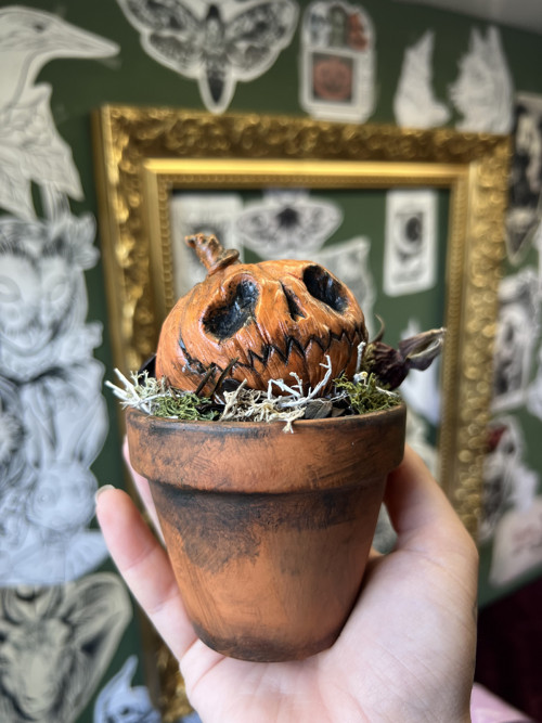 Halloweenská dýně — foto 3
