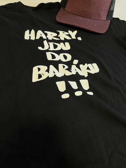 Tričko Harry, jdu do baráku! - Sám doma — foto 2