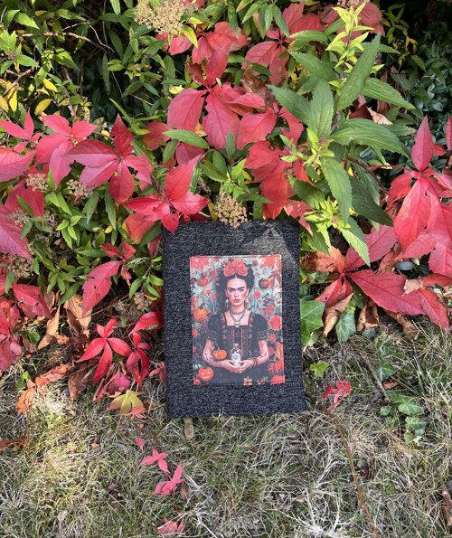 Obal na knihu FRIDA KAHLO — foto 2