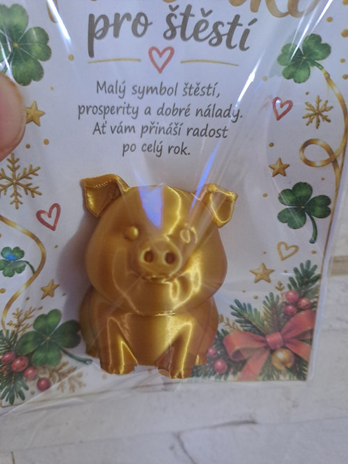 Magnetka - PRASÁTKO PRO ŠTĚSTÍ — foto 3