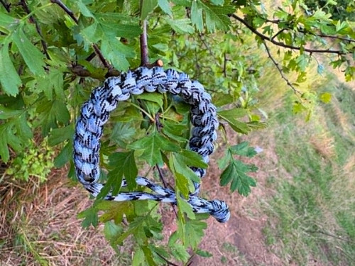 Šalamounův obratel 001 — foto 2