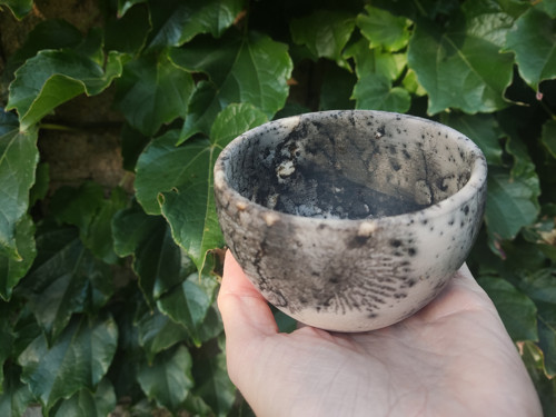 Miska — foto 2