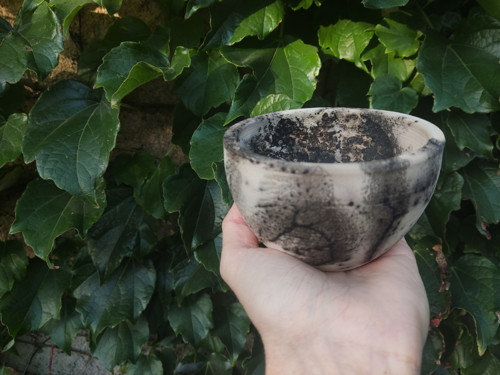 Miska — foto 2