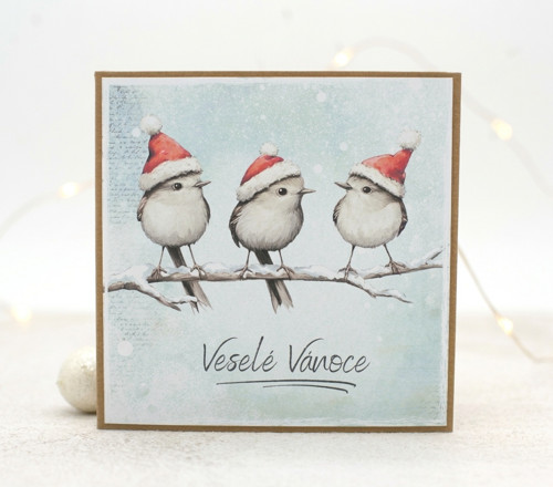 Veselé Vánoce přání — foto 2