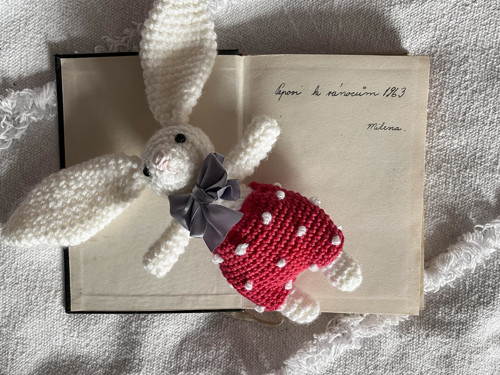 Králík Karlík — foto 5