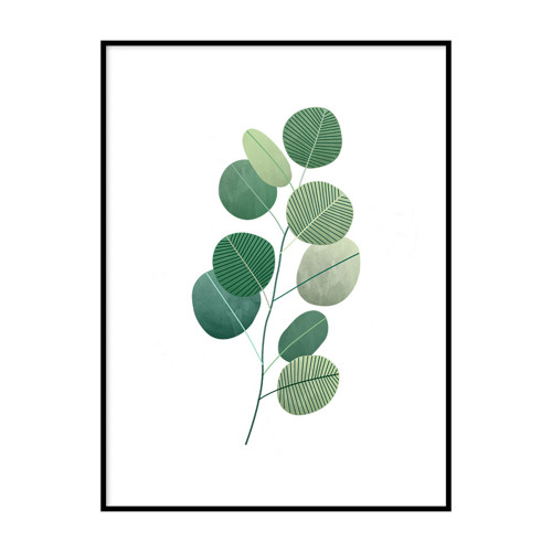Plakát Eukalyptus 30x40cm — foto 2