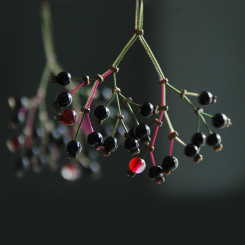 Bezinky černé s acháty — foto 3