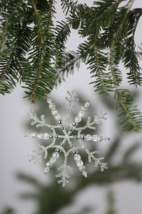 Menší třpytivka 2018 — foto 3
