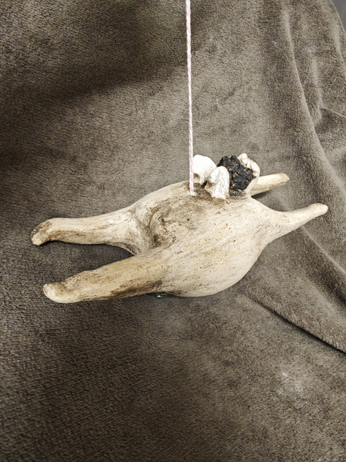 Anděl Požitkář — foto 3