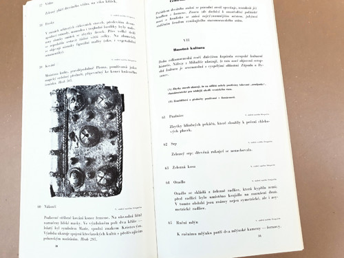 Velkomoravské Mikulčice — foto 2