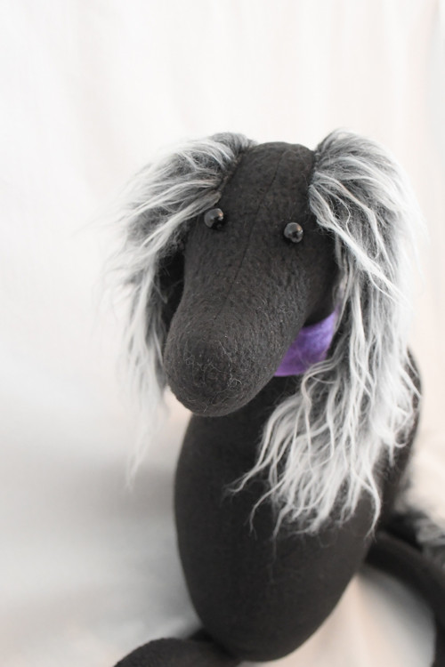 Saluki na přání — foto 3