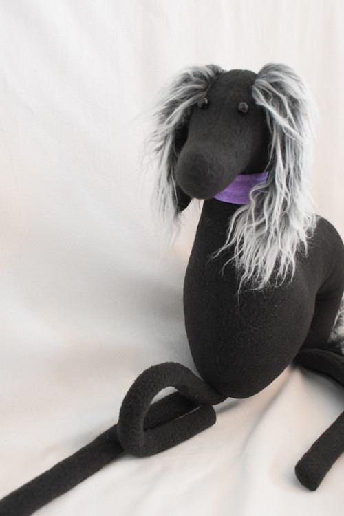 Saluki na přání — foto 2
