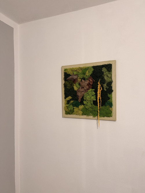 Mechový obraz — foto 2
