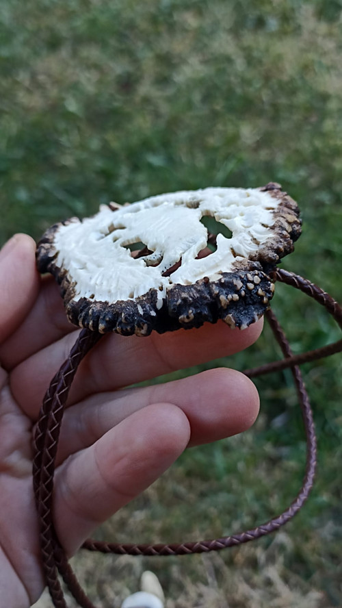 Ručně vyřezávané bolo - divočák — foto 3