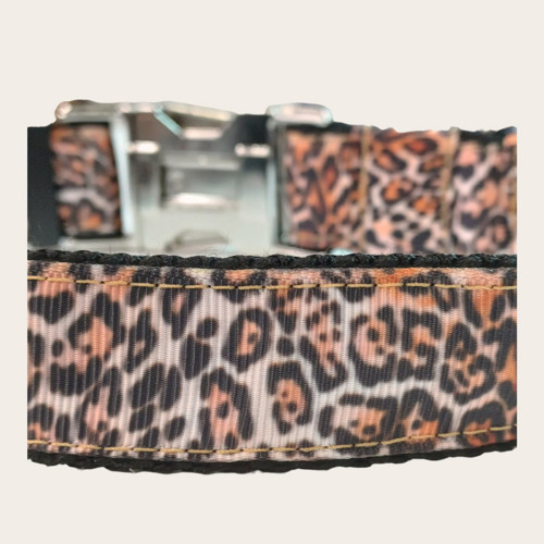Obojek L/XL - leopard — foto 6