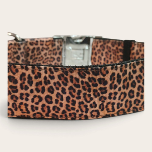 Obojek XXL - leopard — foto 6