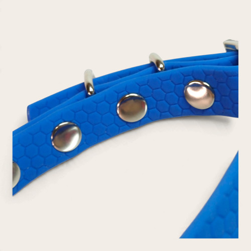 Obojek XS – Deniz Blue Hexa — foto 6