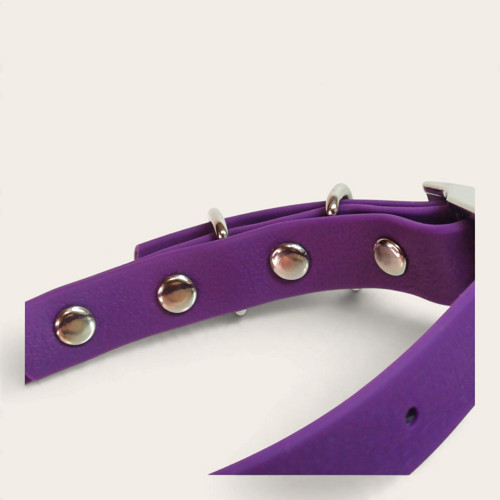 Obojek XS – Deniz Violet — foto 5