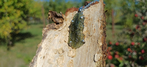 „Nejmocnější je ten, kdo přemůže sám sebe!“ — foto 3
